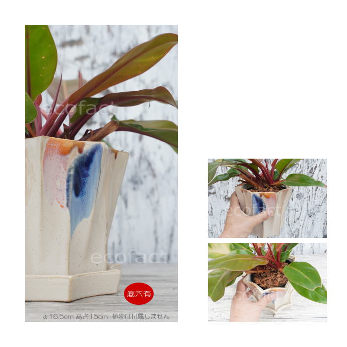 フラワーポット 植木鉢 おしゃれ 陶器鉢 オクタゴンL φ16.5cm  ポット 陶器  穴あり プランター 観葉植物  園芸 ガーデニング アグラオネマ  カラテア