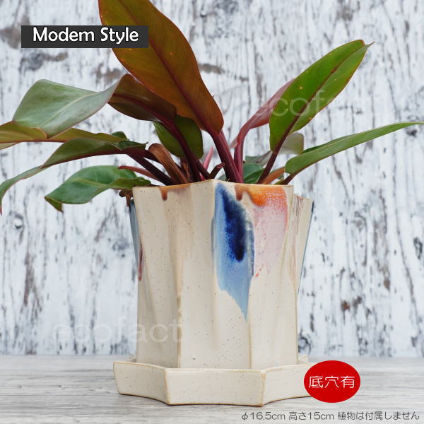 フラワーポット 植木鉢 おしゃれ 陶器鉢 オクタゴンL φ16.5cm  ポット 陶器  穴あり プランター 観葉植物  園芸 ガーデニング アグラオネマ  カラテア