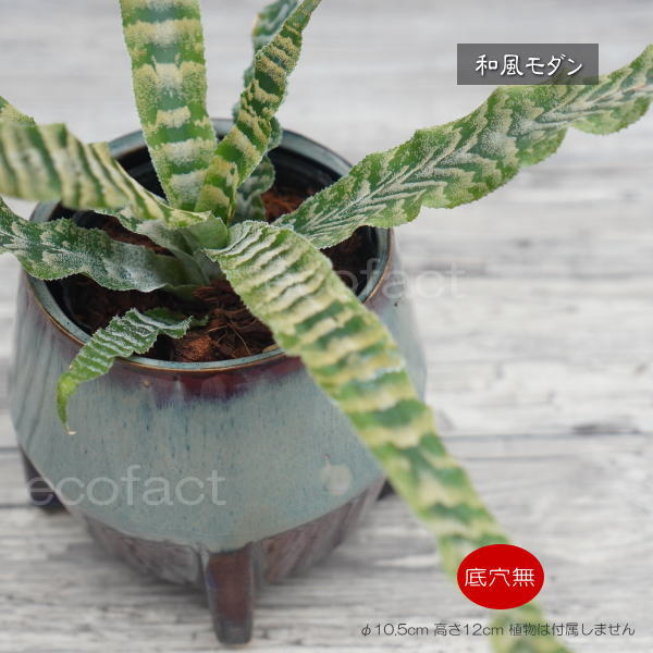 鉢カバー フラワーポット 植木鉢 おしゃれ 陶器鉢  底穴無し tetora s φ10.5cm  ポット 陶器  プランター 観葉植物  園芸 ガーデニング アグラオネマ  カラテア