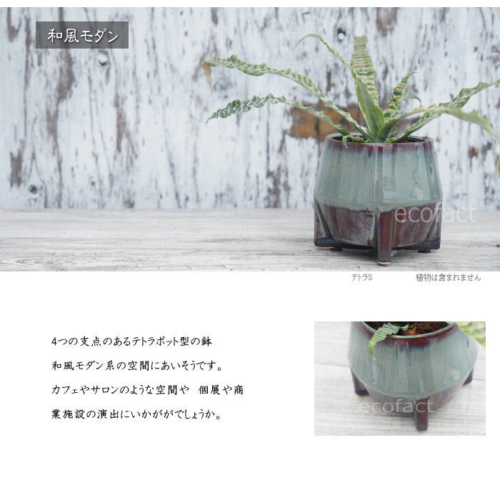 鉢カバー フラワーポット 植木鉢 おしゃれ 陶器鉢  底穴無し tetora s φ10.5cm  ポット 陶器  プランター 観葉植物  園芸 ガーデニング アグラオネマ  カラテア