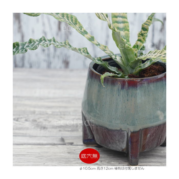鉢カバー フラワーポット 植木鉢 おしゃれ 陶器鉢  底穴無し tetora s φ10.5cm  ポット 陶器  プランター 観葉植物  園芸 ガーデニング アグラオネマ  カラテア