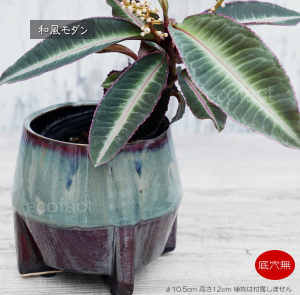 鉢カバー フラワーポット 植木鉢 おしゃれ 陶器鉢  底穴無し tetora s φ10.5cm  ポット 陶器  プランター 観葉植物  園芸 ガーデニング アグラオネマ  カラテア