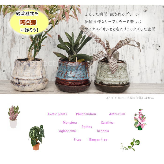 植木鉢 おしゃれ 陶器鉢 フラワーポット ミニポット 底穴あり ロックポット グリーン φ11cm  プランター 園芸鉢 観葉植物 多肉植物 熱帯植物 アッシュグレイ