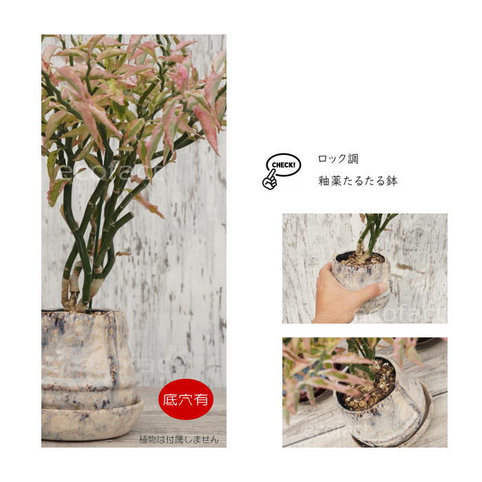 植木鉢 おしゃれ 陶器鉢 フラワーポット ミニポット 底穴あり ロックポット クリーム φ11cm  プランター 園芸鉢 観葉植物 多肉植物 熱帯植物 アッシュグレイ