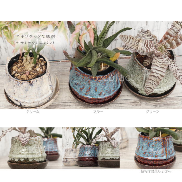 植木鉢 おしゃれ 陶器鉢 フラワーポット ミニポット 底穴あり ロックポット グリーン φ11cm  プランター 園芸鉢 観葉植物 多肉植物 熱帯植物 アッシュグレイ
