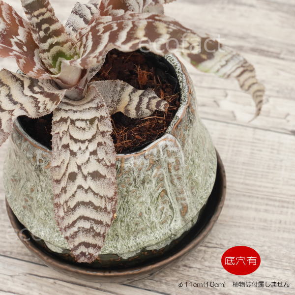 植木鉢 おしゃれ 陶器鉢 フラワーポット ミニポット 底穴あり ロックポット グリーン φ11cm  プランター 園芸鉢 観葉植物 多肉植物 熱帯植物 アッシュグレイ