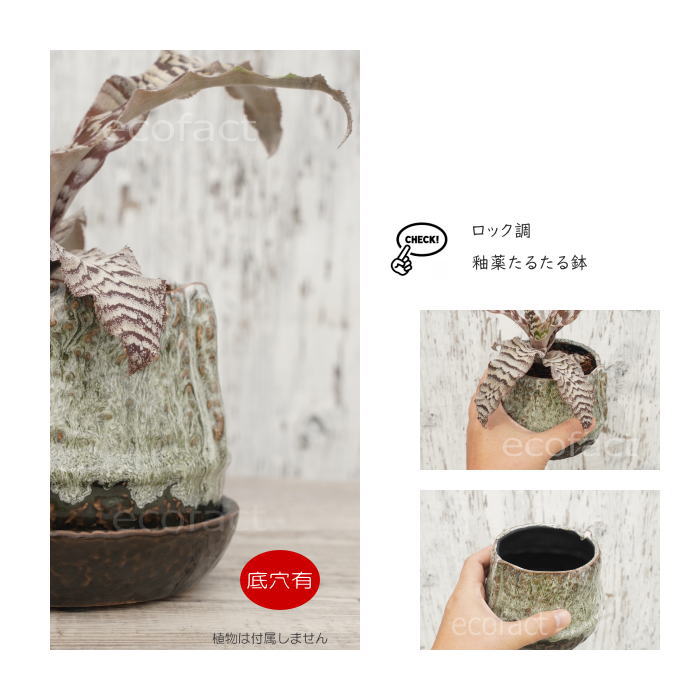 植木鉢 おしゃれ 陶器鉢 フラワーポット ミニポット 底穴あり ロックポット グリーン φ11cm  プランター 園芸鉢 観葉植物 多肉植物 熱帯植物 アッシュグレイ