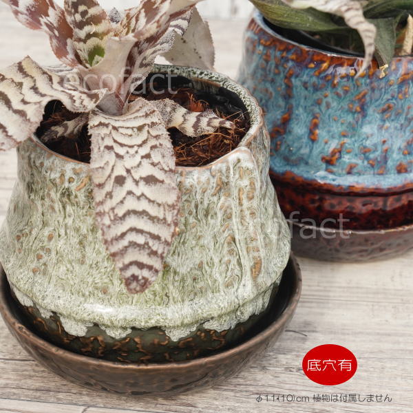 植木鉢 おしゃれ 陶器鉢 フラワーポット ミニポット 底穴あり ロックポット グリーン φ11cm  プランター 園芸鉢 観葉植物 多肉植物 熱帯植物 アッシュグレイ