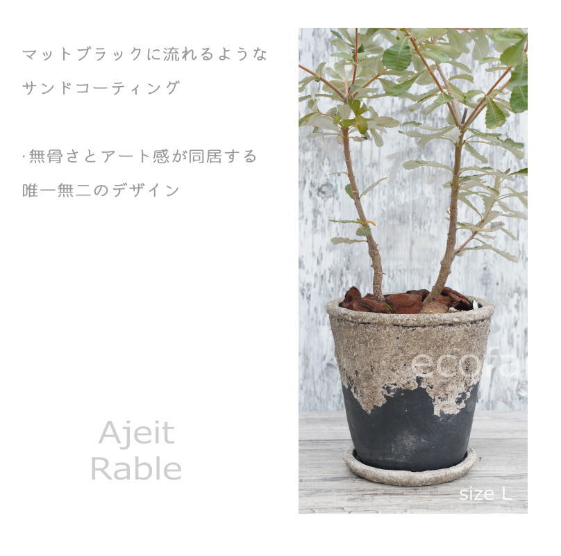 ポット 鉢 植木鉢 プランター おしゃれ セメント鉢 φ20cm  エイジット L ブラック グレイ アッシュグレイ プランター  ガーデニング 園芸