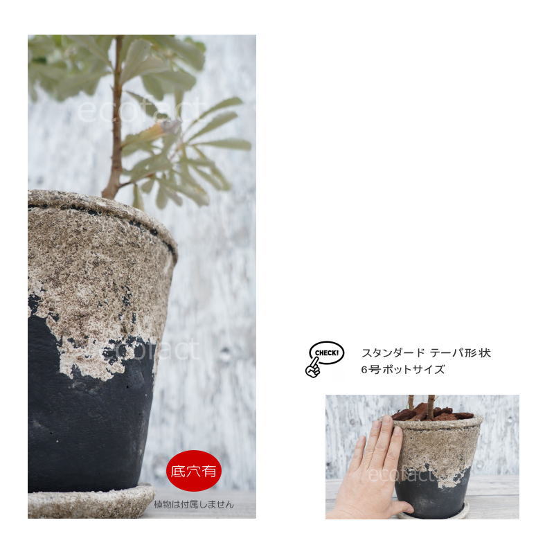 ポット 鉢 植木鉢 プランター おしゃれ セメント鉢 φ20cm  エイジット L ブラック グレイ アッシュグレイ プランター  ガーデニング 園芸