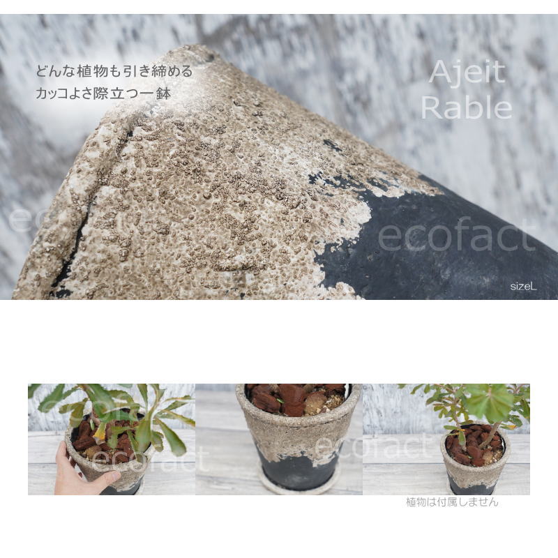 ポット 鉢 植木鉢 プランター おしゃれ セメント鉢 φ20cm  エイジット L ブラック グレイ アッシュグレイ プランター  ガーデニング 園芸