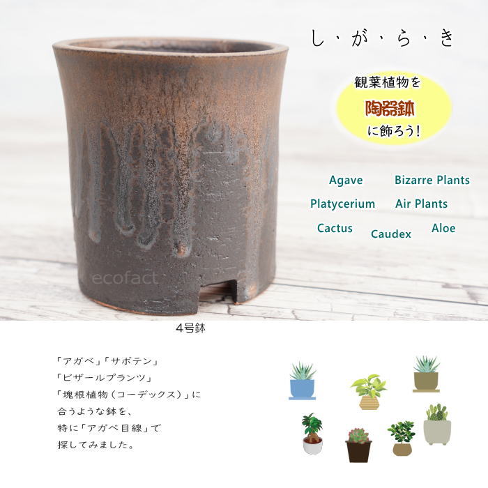 陶器鉢 植木鉢 4号 筒型 金彩 ゴールド/ブラック おしゃれ プランター 園芸鉢 かみ山陶器 信楽焼 観葉植物 アガベ サボテン ビザールプランツ 塊根植物 コーデックス 多肉植物 ポット