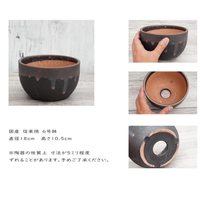 陶器鉢 植木鉢 6号 丸型 金彩 ゴールド/ブラック おしゃれ プランター 園芸鉢 かみ山陶器 信楽焼 観葉植物 アガベ サボテン ビザールプランツ 塊根植物 コーデックス 多肉植物 ポット