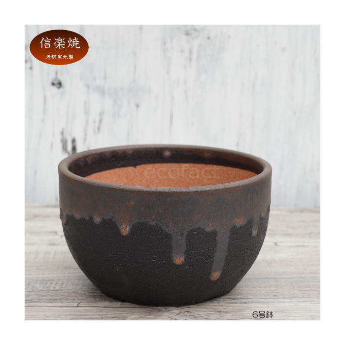 陶器鉢 植木鉢 6号 丸型 金彩 ゴールド/ブラック おしゃれ プランター 園芸鉢 かみ山陶器 信楽焼 観葉植物 アガベ サボテン ビザールプランツ 塊根植物 コーデックス 多肉植物 ポット