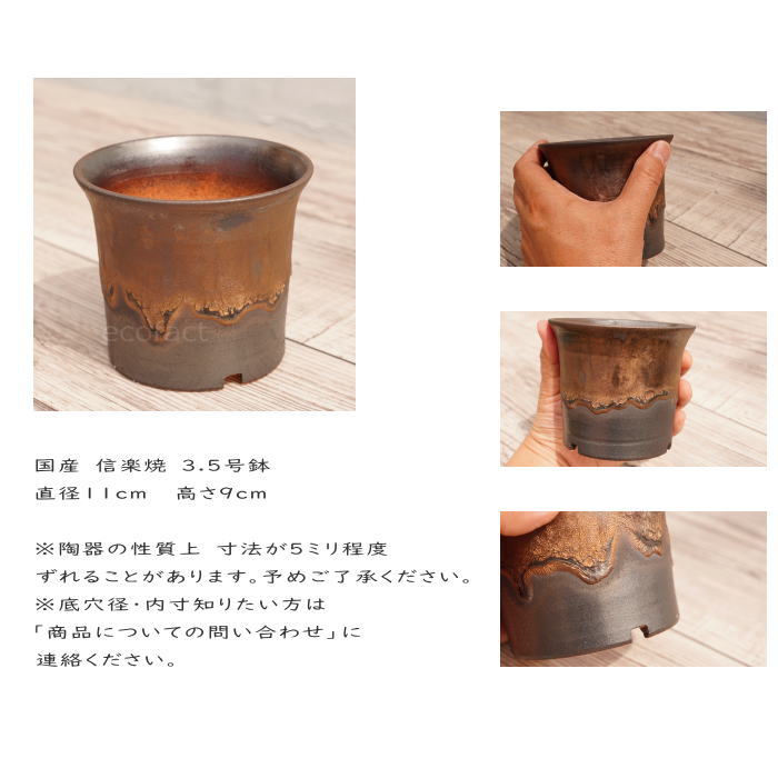 陶器鉢 植木鉢 3.5号 ラッパ型 金彩 ゴールド/ブラック おしゃれ プランター 園芸鉢 かみ山陶器 信楽焼 観葉植物 アガベ サボテン ビザールプランツ 塊根植物 コーデックス 多肉植物 ポット