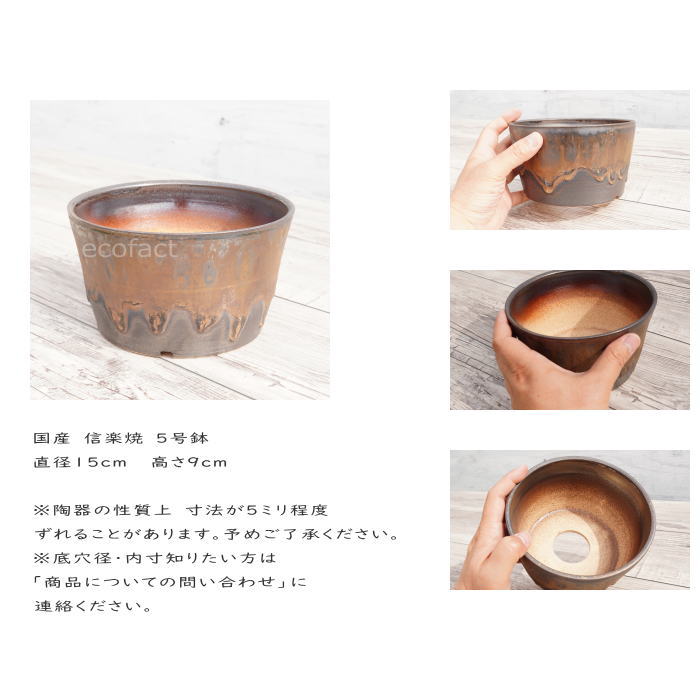 陶器鉢 植木鉢 5号 中深ソリ型 金彩 ゴールド/ブラック おしゃれ プランター 園芸鉢 かみ山陶器 信楽焼 観葉植物 アガベ サボテン ビザールプランツ 塊根植物 コーデックス 多肉植物 ポット