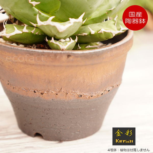 陶器鉢 植木鉢 4号 丸中深型 金彩 ゴールド/ブラック おしゃれ プランター 園芸鉢 かみ山陶器 信楽焼 観葉植物 アガベ サボテン ビザールプランツ 塊根植物 コーデックス 多肉植物 ポット