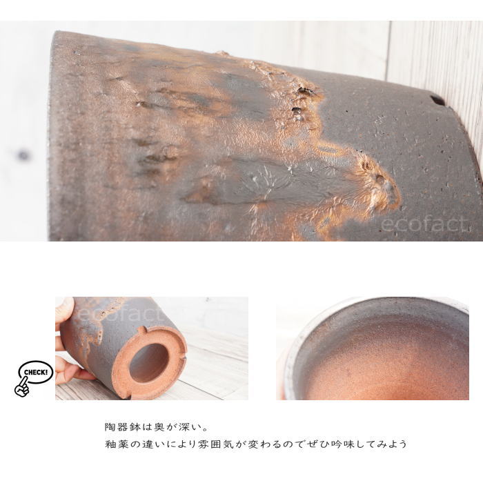 陶器鉢 植木鉢 5号 深ソリ型 金彩 ゴールド/ブラック おしゃれ プランター 園芸鉢 かみ山陶器 信楽焼 観葉植物 アガベ サボテン ビザールプランツ 塊根植物 コーデックス 多肉植物 ポット