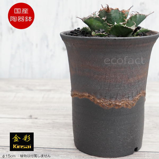 陶器鉢 植木鉢 5号 ラッパ型 金彩 ゴールド/ブラック おしゃれ プランター 園芸鉢 かみ山陶器 信楽焼 観葉植物 アガベ サボテン ビザールプランツ 塊根植物 コーデックス 多肉植物 ポット