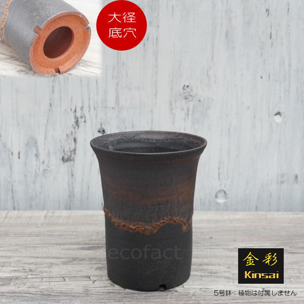 陶器鉢 植木鉢 5号 ラッパ型 金彩 ゴールド/ブラック おしゃれ プランター 園芸鉢 かみ山陶器 信楽焼 観葉植物 アガベ サボテン ビザールプランツ 塊根植物 コーデックス 多肉植物 ポット