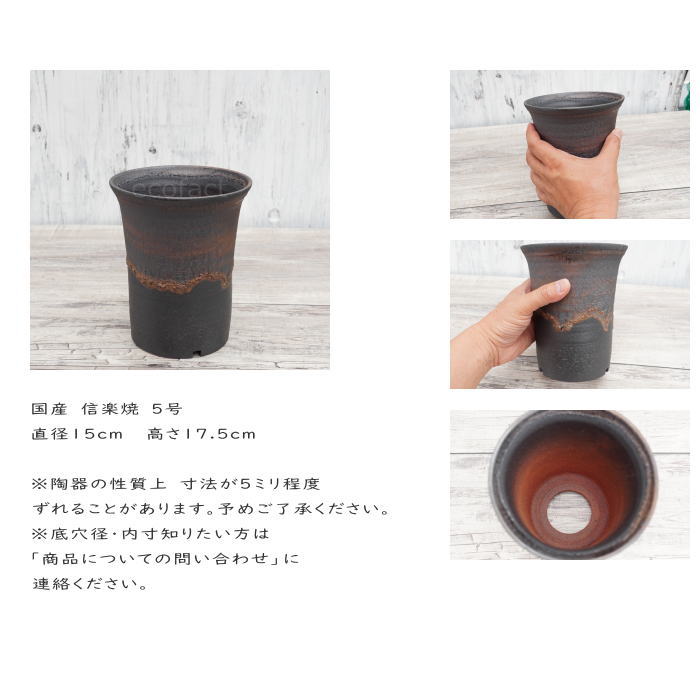 陶器鉢 植木鉢 5号 ラッパ型 金彩 ゴールド/ブラック おしゃれ プランター 園芸鉢 かみ山陶器 信楽焼 観葉植物 アガベ サボテン ビザールプランツ 塊根植物 コーデックス 多肉植物 ポット
