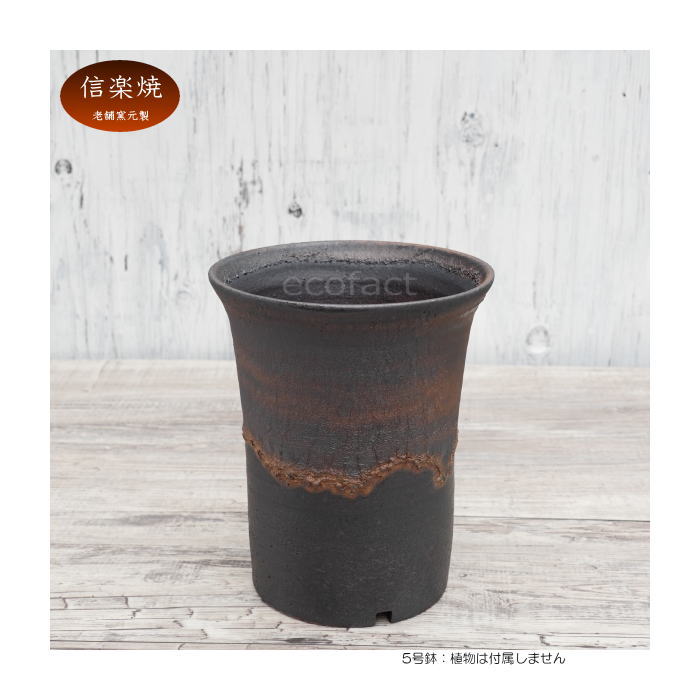 陶器鉢 植木鉢 5号 ラッパ型 金彩 ゴールド/ブラック おしゃれ プランター 園芸鉢 かみ山陶器 信楽焼 観葉植物 アガベ サボテン ビザールプランツ 塊根植物 コーデックス 多肉植物 ポット