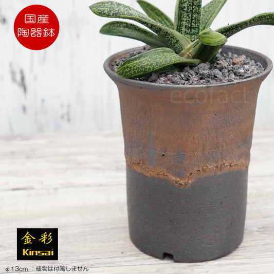 陶器鉢 植木鉢 4号 ラッパ型 金彩 ゴールド/ブラック おしゃれ プランター 園芸鉢 かみ山陶器 信楽焼 観葉植物 アガベ サボテン ビザールプランツ 塊根植物 コーデックス 多肉植物 ポット