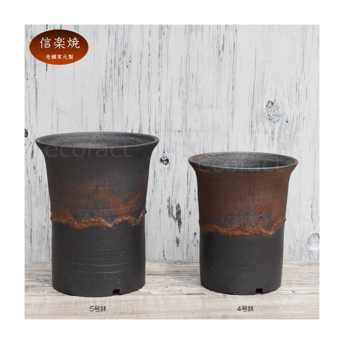 陶器鉢 植木鉢 5号 ラッパ型 金彩 ゴールド/ブラック おしゃれ プランター 園芸鉢 かみ山陶器 信楽焼 観葉植物 アガベ サボテン ビザールプランツ 塊根植物 コーデックス 多肉植物 ポット