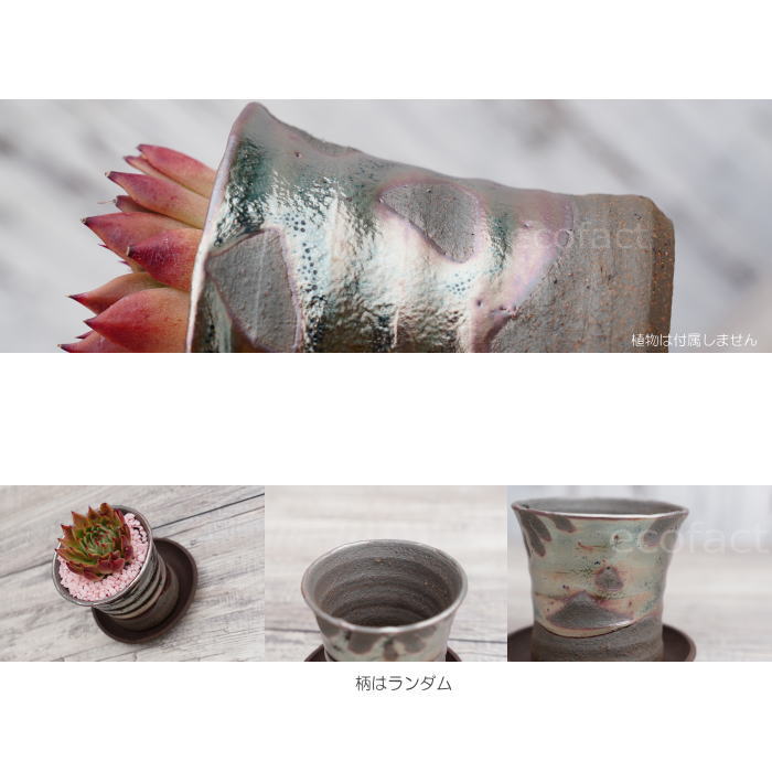 陶器鉢 植木鉢 小鉢 底穴あり 鉄釉そり細（ガンメタ）φ8cm 受皿付き おしゃれ プランター 園芸鉢 信楽焼（しがらきやき）かみ山陶器 コーデックス 塊根植物