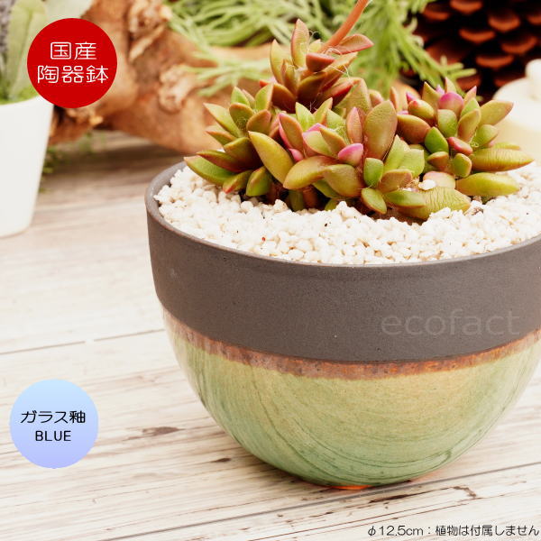 陶器鉢 植木鉢 小鉢 ガラス釉ブルー 青 φ12.5cm おしゃれ プランター 園芸鉢 信楽焼（しがらきやき）かみ山陶器 サボテンポット