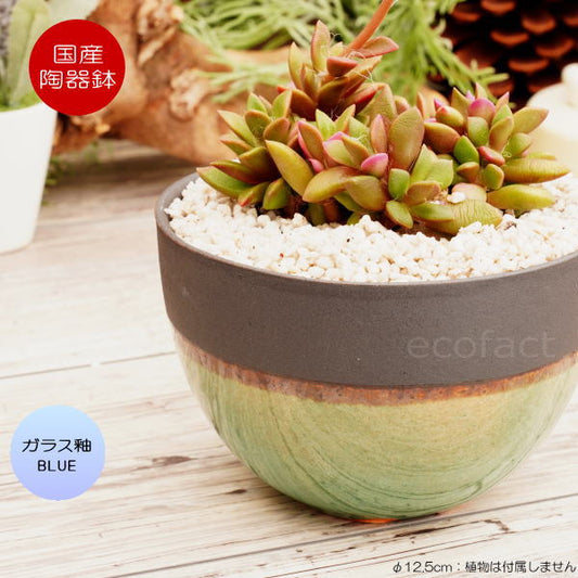 陶器鉢 植木鉢 小鉢 ガラス釉ブルー 青 φ12.5cm おしゃれ プランター 園芸鉢 信楽焼（しがらきやき）かみ山陶器 サボテンポット