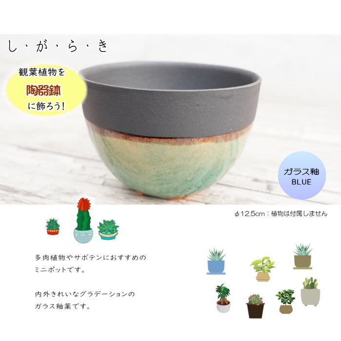 陶器鉢 植木鉢 小鉢 ガラス釉ブルー 青 φ12.5cm おしゃれ プランター 園芸鉢 信楽焼（しがらきやき）かみ山陶器 サボテンポット