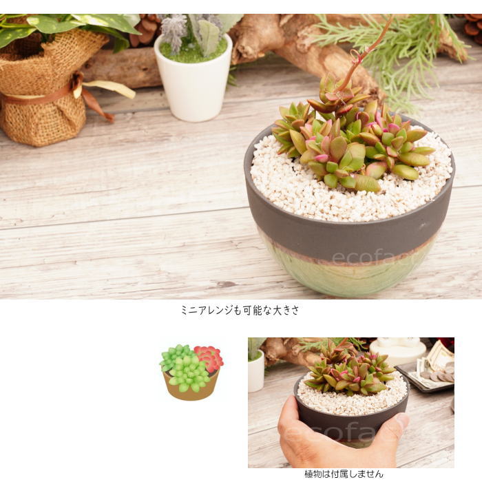 陶器鉢 植木鉢 小鉢 ガラス釉ブルー 青 φ12.5cm おしゃれ プランター 園芸鉢 信楽焼（しがらきやき）かみ山陶器 サボテンポット