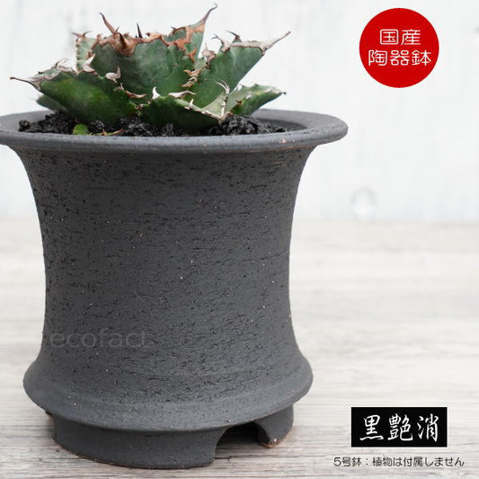 陶器鉢 植木鉢 5号 底穴あり 艶消黒高脚 ブラック サナ無し おしゃれ プランター 園芸鉢 信楽焼 かみ山陶器 観葉植物 アガベ サボテン ビザールプランツ 塊根植物 コーデックス 多肉植物 ポット