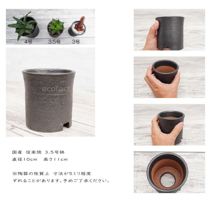 陶器鉢 植木鉢 3.5号 筒型 艶消し 黒 ブラック おしゃれ プランター 園芸鉢 かみ山陶器 信楽焼 観葉植物 アガベ サボテン ビザールプランツ 塊根植物 コーデックス 多肉植物 ポット
