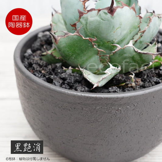 陶器鉢 植木鉢 6号 丸型 艶消し 黒 ブラック おしゃれ プランター 園芸鉢 かみ山陶器 信楽焼 アガベ サボテン ビザールプランツ 塊根植物 コーデックス 多肉植物 観葉植物 ポット
