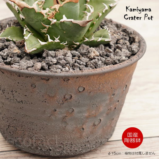 陶器鉢 植木鉢 5号 クレーターポット φ15cm 中深 ゴールド/ブラック おしゃれ プランター 園芸鉢 信楽焼 かみ山陶器 観葉植物 アガベ サボテン ビザールプランツ 塊根植物 コーデックス 多肉植物 ポット