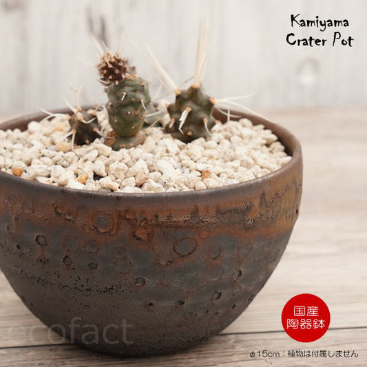 陶器鉢 植木鉢 5号 クレーターポット φ15cm 中深丸 ゴールド/ブラック おしゃれ プランター 園芸鉢 信楽焼 かみ山陶器 観葉植物 アガベ サボテン ビザールプランツ 塊根植物 コーデックス 多肉植物 ポット