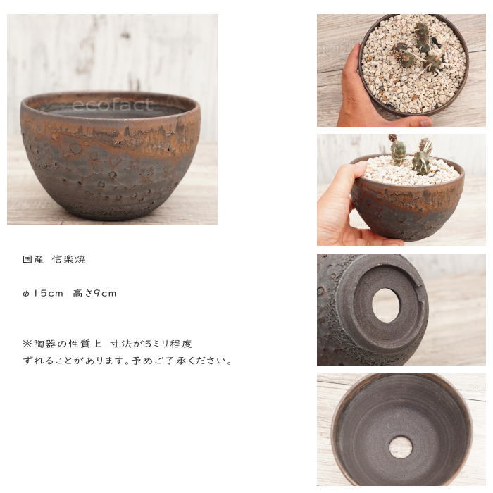 陶器鉢 植木鉢 5号 クレーターポット φ15cm 中深丸 ゴールド/ブラック おしゃれ プランター 園芸鉢 信楽焼 かみ山陶器 観葉植物 アガベ サボテン ビザールプランツ 塊根植物 コーデックス 多肉植物 ポット