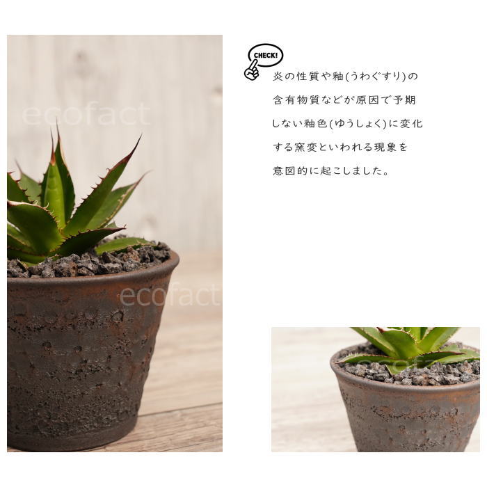 陶器鉢 植木鉢 4号 クレーターポット φ12cm 中深 ゴールド/ブラック おしゃれ プランター 園芸鉢 信楽焼 かみ山陶器 観葉植物 アガベ サボテン ビザールプランツ 塊根植物 コーデックス 多肉植物 ポット