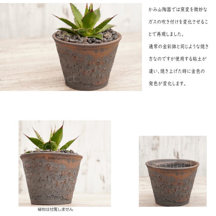 陶器鉢 植木鉢 4号 クレーターポット φ12cm 中深 ゴールド/ブラック おしゃれ プランター 園芸鉢 信楽焼 かみ山陶器 観葉植物 アガベ サボテン ビザールプランツ 塊根植物 コーデックス 多肉植物 ポット