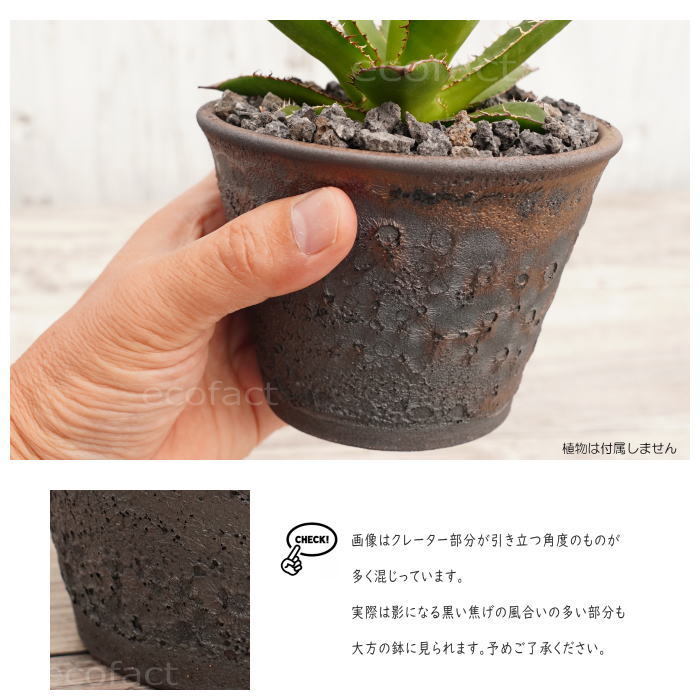 陶器鉢 植木鉢 4号 クレーターポット φ12cm 中深 ゴールド/ブラック おしゃれ プランター 園芸鉢 信楽焼 かみ山陶器 観葉植物 アガベ サボテン ビザールプランツ 塊根植物 コーデックス 多肉植物 ポット