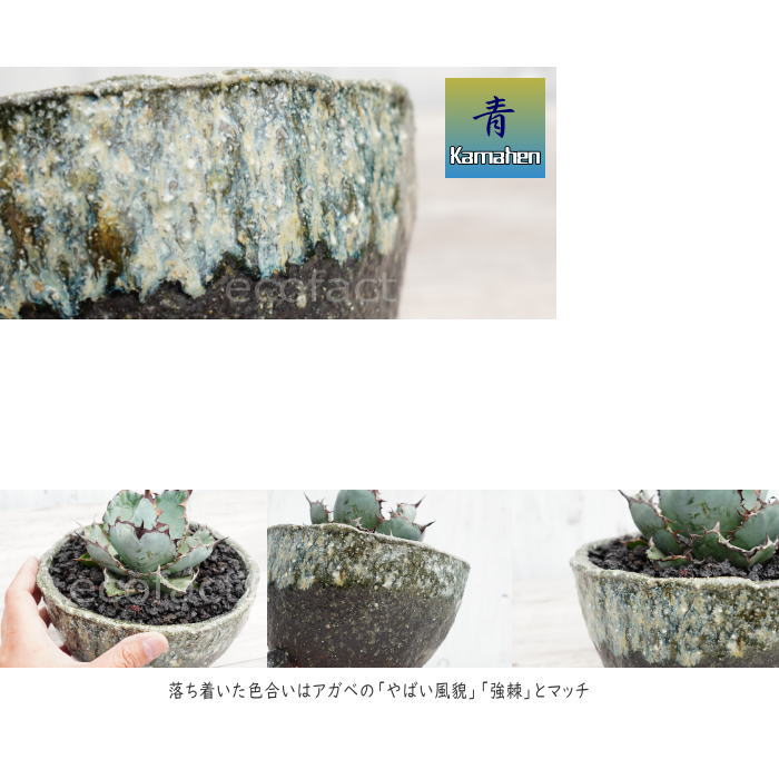 陶器鉢 植木鉢 φ18.5cm 青窯変脚付 ブルー系 おしゃれ プランター 園芸鉢 かみ山陶器 信楽焼 観葉植物 アガベ サボテン ビザールプランツ 塊根植物 コーデックス 多肉植物 ポット