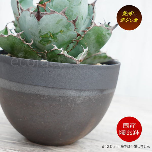 陶器鉢 植木鉢 小鉢 底穴あり マットブラック丸 焦がし金 艶消し黒 φ12.5cm おしゃれ プランター 園芸鉢 信楽焼（しがらきやき）かみ山陶器 サボテンポット