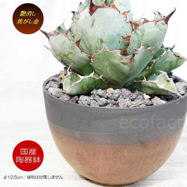 陶器鉢 植木鉢 小鉢 底穴あり マットブラック丸 焦がし金 艶消し黒 φ12.5cm おしゃれ プランター 園芸鉢 信楽焼（しがらきやき）かみ山陶器 サボテンポット
