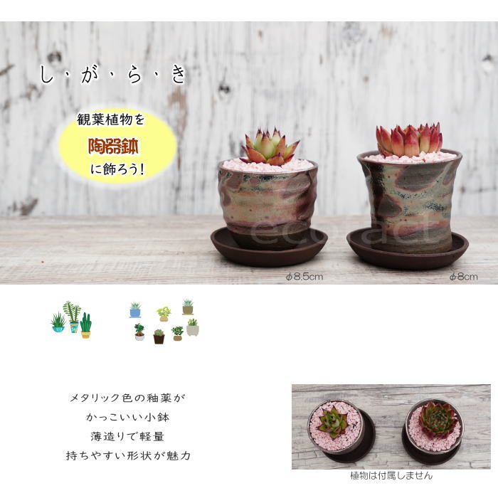 陶器鉢 植木鉢 小鉢 底穴あり 鉄釉そり細（ガンメタ）φ8cm 受皿付き おしゃれ プランター 園芸鉢 信楽焼（しがらきやき）かみ山陶器 コーデックス 塊根植物