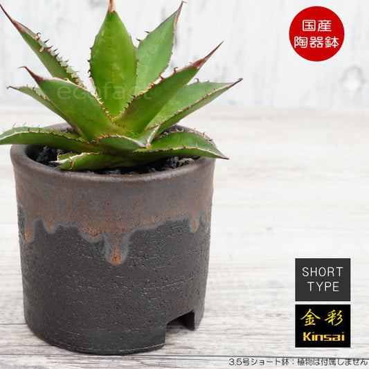 陶器鉢 植木鉢 3.5号ショートタイプ 筒型 金彩 ゴールド/ブラック おしゃれ プランター 園芸鉢 かみ山陶器 信楽焼 観葉植物 アガベ サボテン ビザールプランツ 塊根植物 コーデックス 多肉植物 ポット