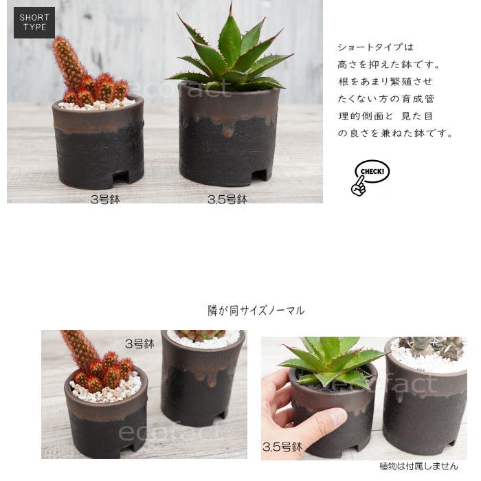 陶器鉢 植木鉢 3.5号ショートタイプ 筒型 金彩 ゴールド/ブラック おしゃれ プランター 園芸鉢 かみ山陶器 信楽焼 観葉植物 アガベ サボテン ビザールプランツ 塊根植物 コーデックス 多肉植物 ポット