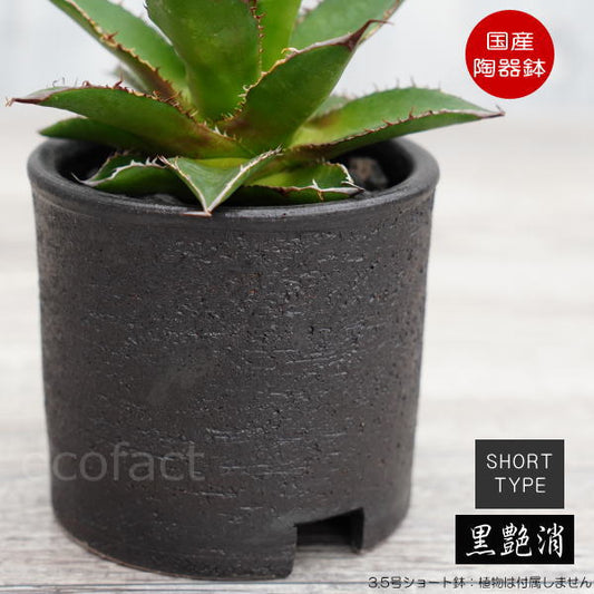 陶器鉢 植木鉢 3.5号ショートタイプ 筒型 ブラック 艶消し黒 おしゃれ プランター 園芸鉢 かみ山陶器 信楽焼 観葉植物 アガベ サボテン ビザールプランツ 塊根植物 コーデックス 多肉植物 ポット