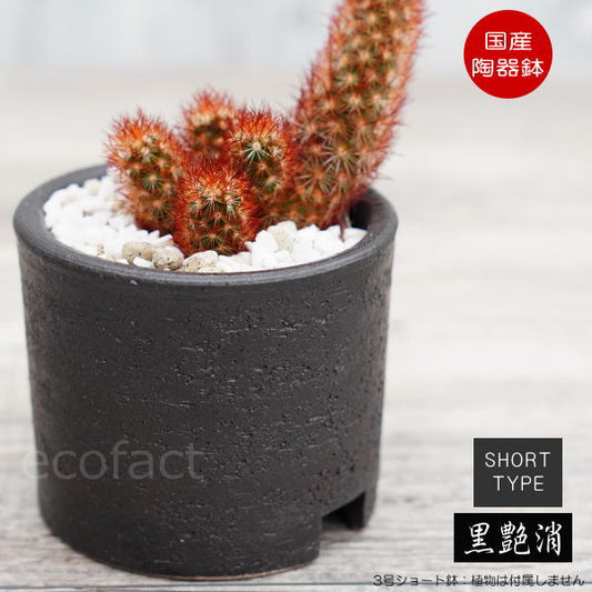 陶器鉢 植木鉢 3号ショートタイプ 筒型 ブラック 艶消し黒 おしゃれ プランター 園芸鉢 かみ山陶器 信楽焼 観葉植物 アガベ サボテン ビザールプランツ 塊根植物 コーデックス 多肉植物 ポット (コピー)
